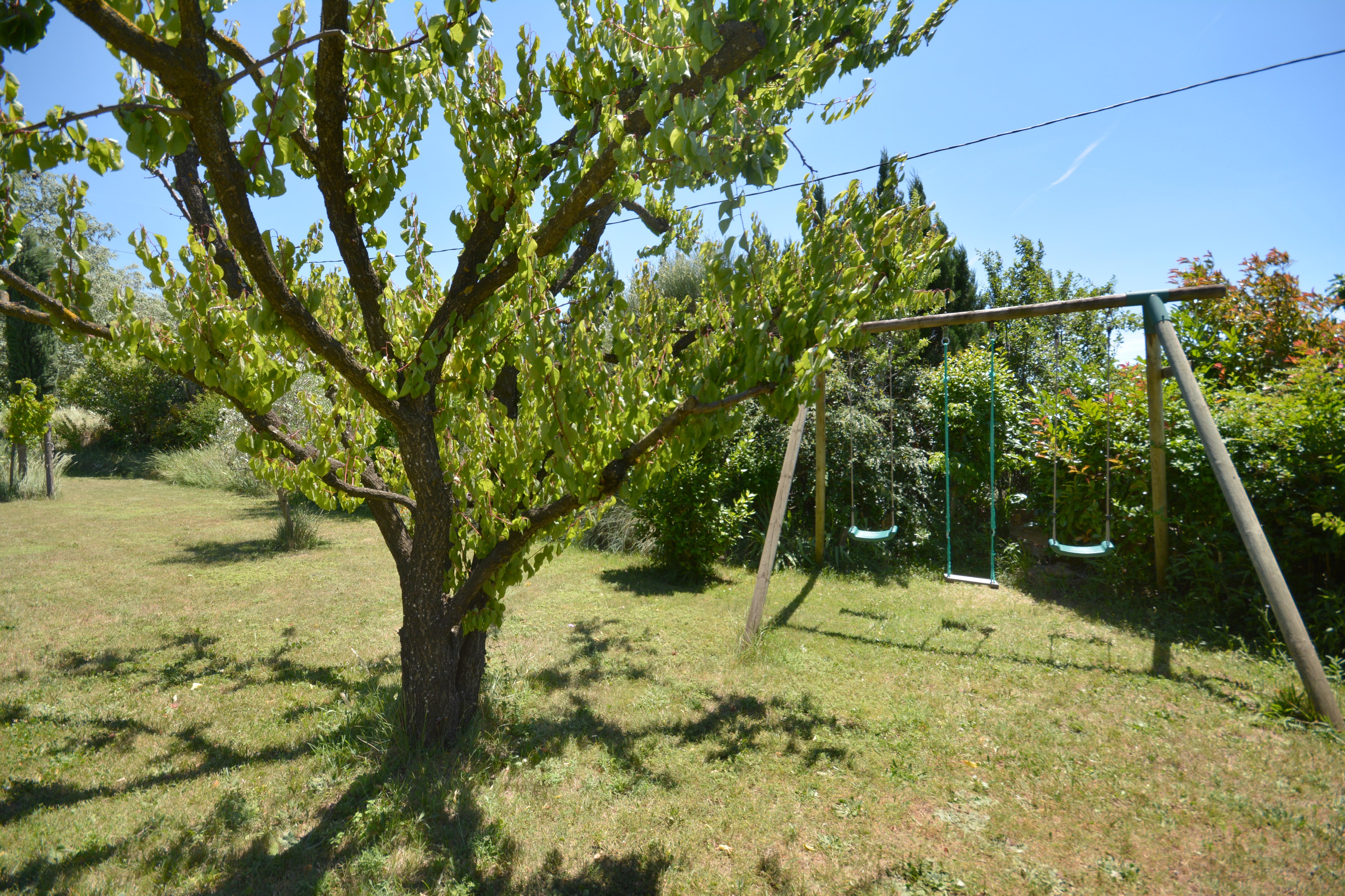 jardin